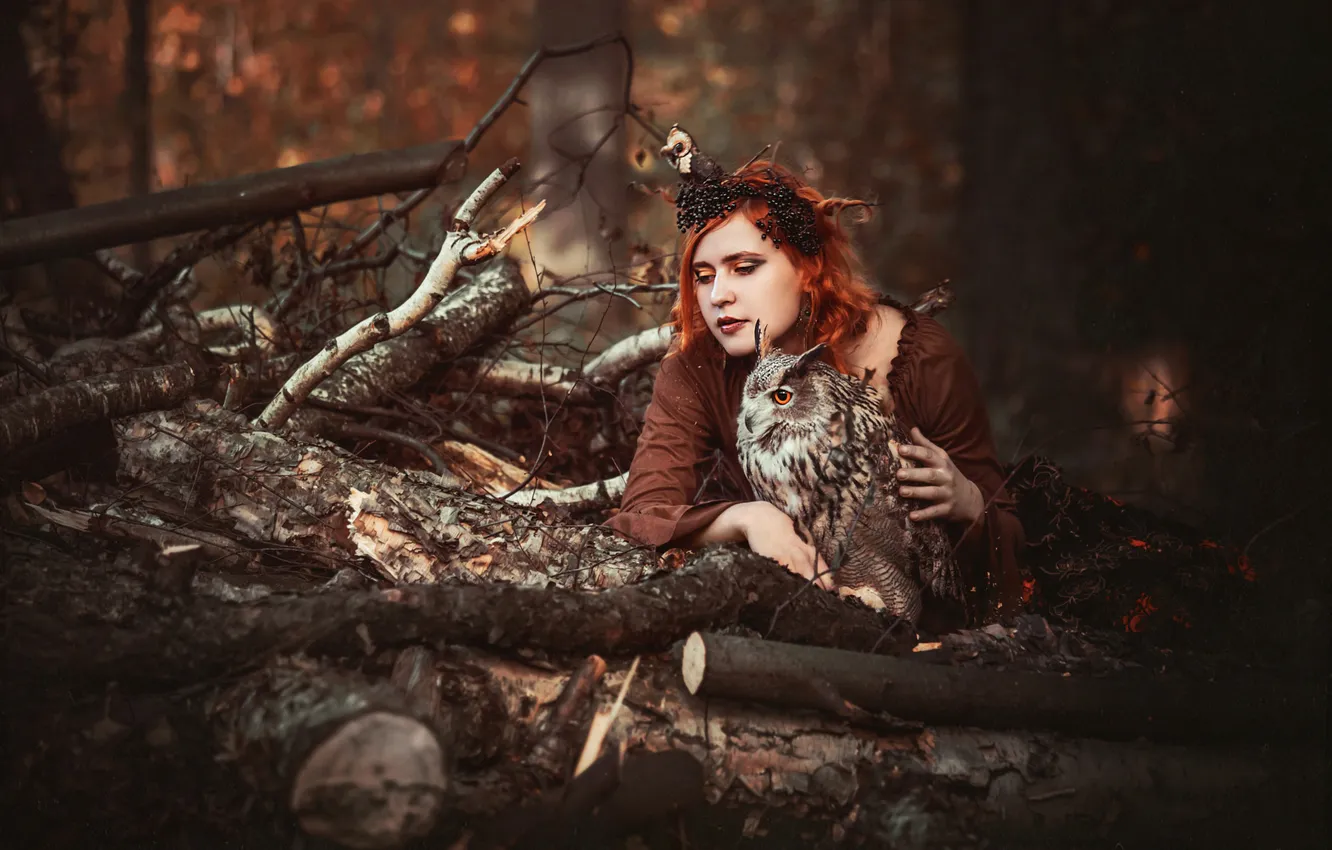 Photo wallpaper girl, branches, style, owl, bird, log, cosplay, Eva Wald