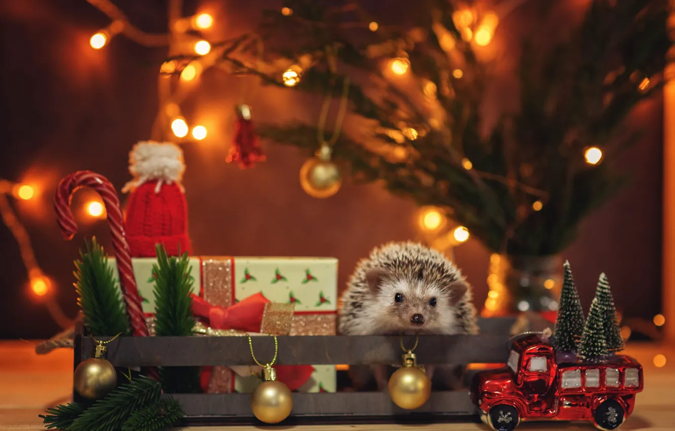 Photo wallpaper look, balls, light, holiday, box, gift, toy, new year