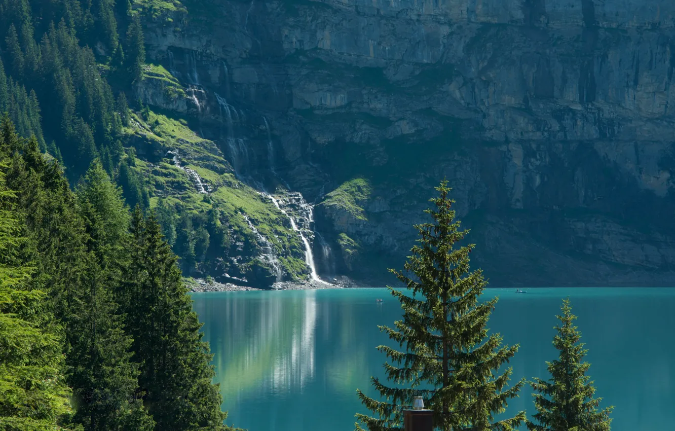 Photo wallpaper trees, lake, Switzerland, ate, Switzerland, Bernese Alps, The Bernese Alps, lake Asinense