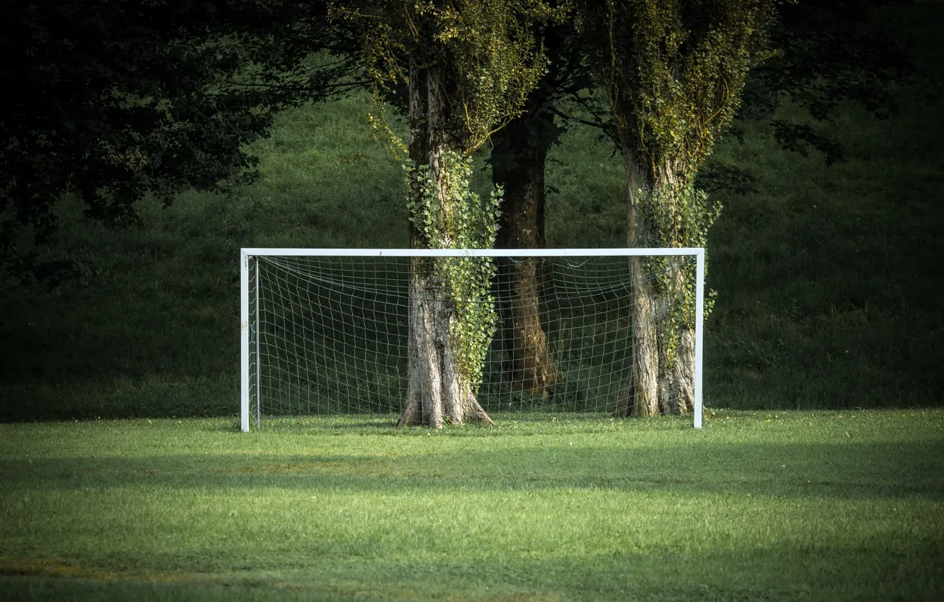 Photo wallpaper field, trees, gate