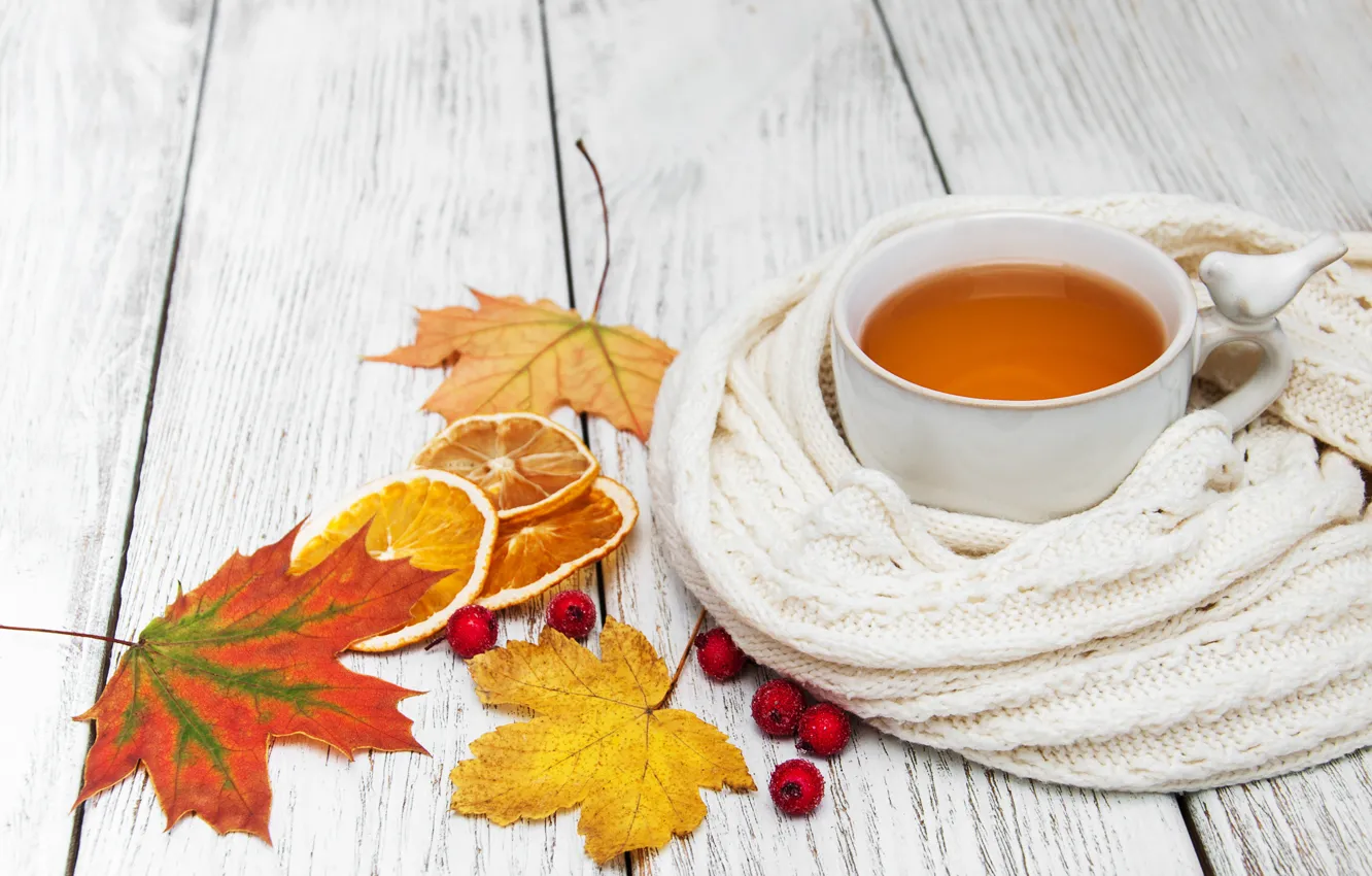 Photo wallpaper autumn, leaves, colorful, scarf, autumn, leaves, cup, tea