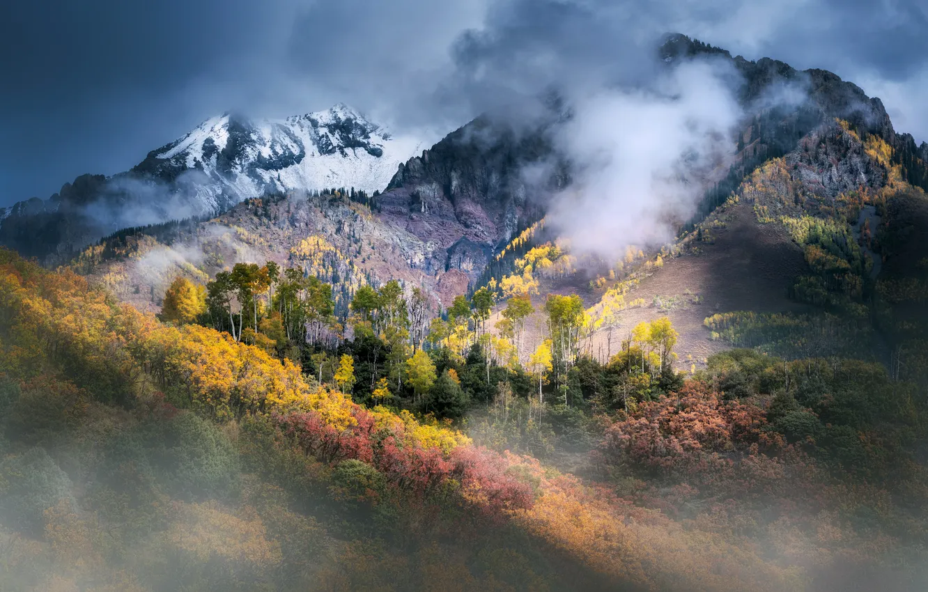 Photo wallpaper nature, beauty, landscape, nature, clouds, Colorado, AUTUMN FOREST, ASPEN TREES