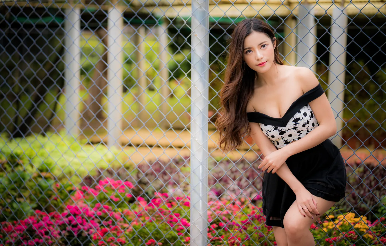 Photo wallpaper look, girl, pose, Asian