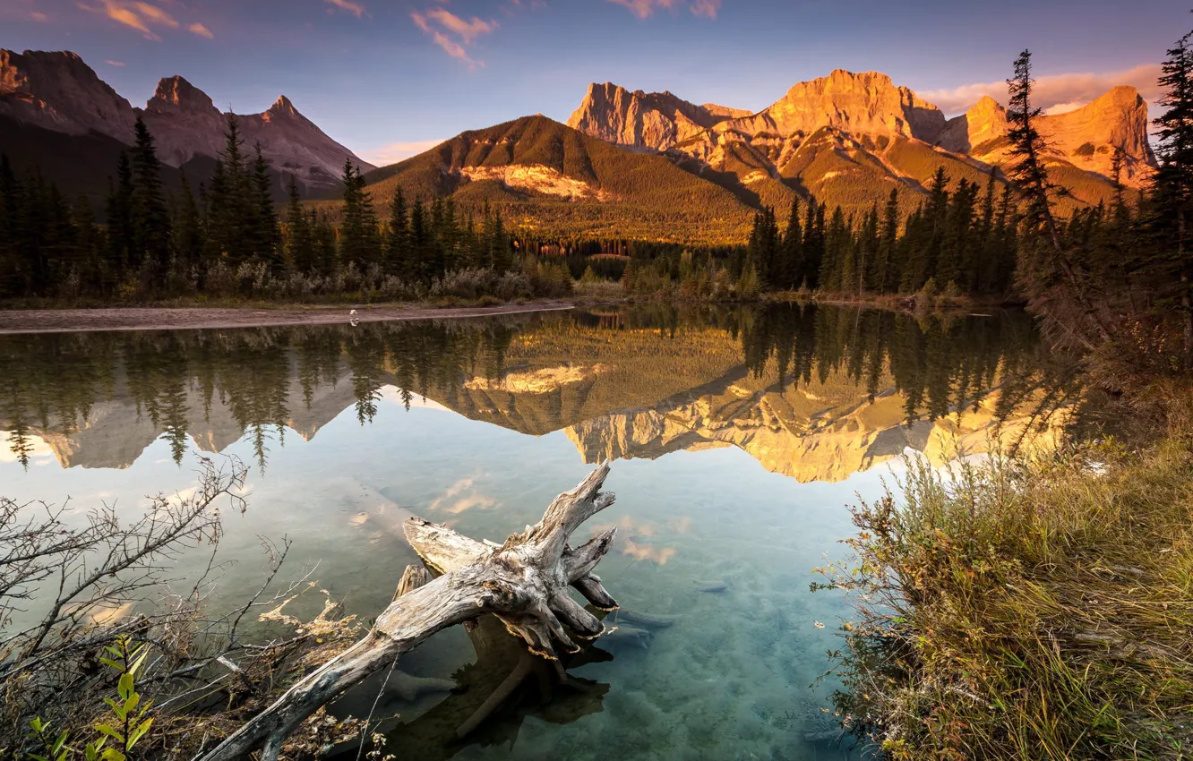 Photo wallpaper forest, trees, mountains, lake, reflection