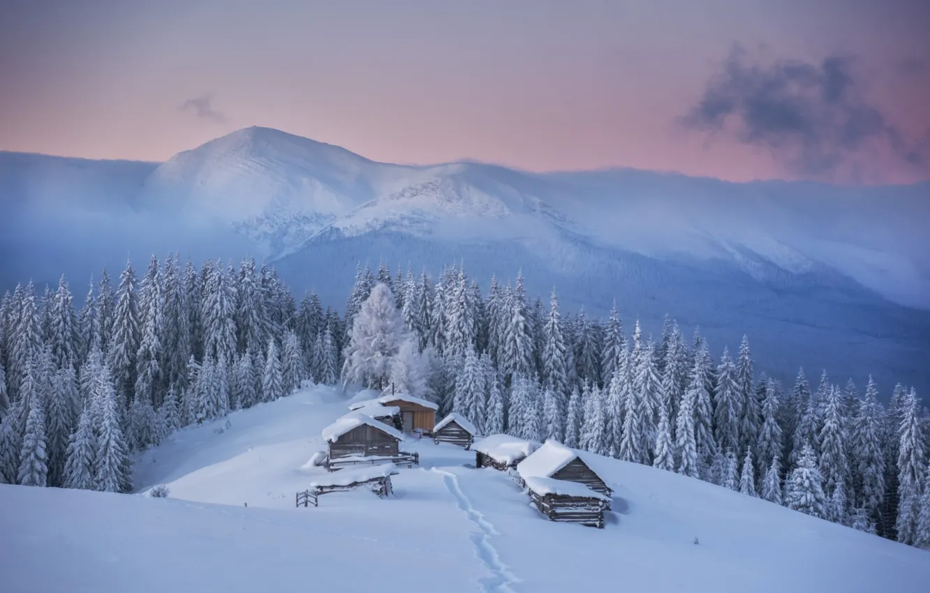 Photo wallpaper winter, forest, snow, mountains, house, Carpathians, Mike Remeniuk