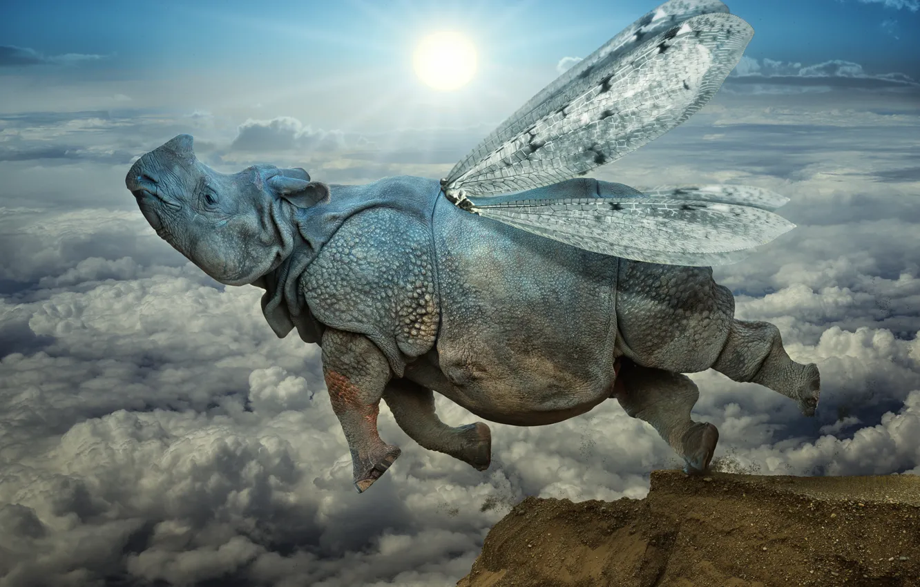 Photo wallpaper clouds, jump, wings, Rhino