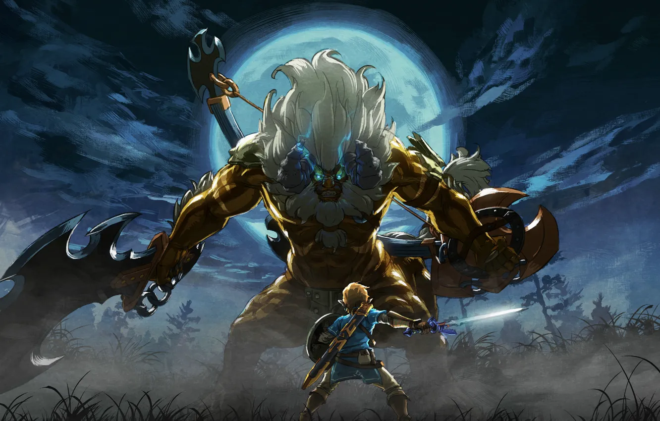 Photo wallpaper Nintendo, Game, Link, The Legend Of Zelda: Breath Of The Wild, TheVideoGamegallery.com