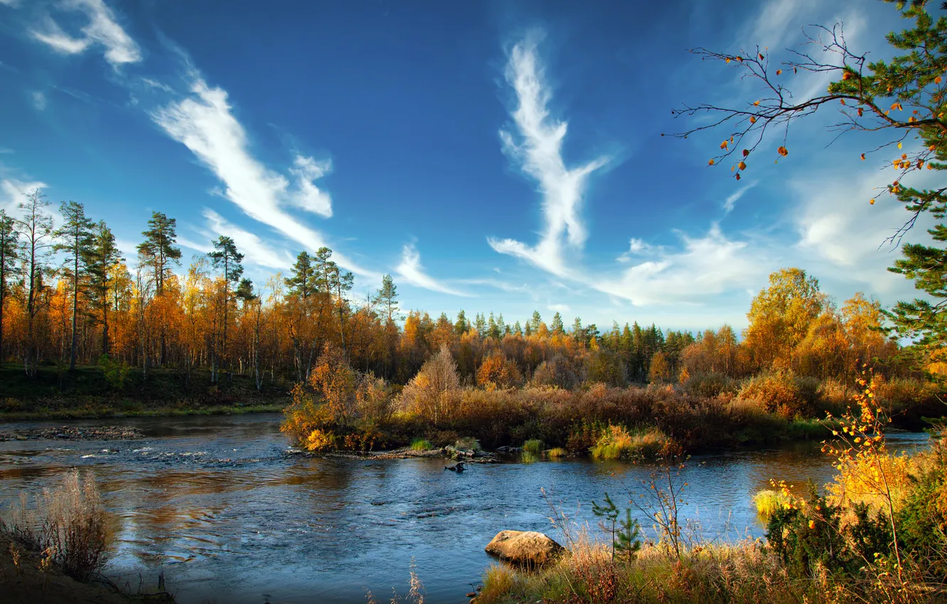 Photo wallpaper river, trees, yellow, autumn