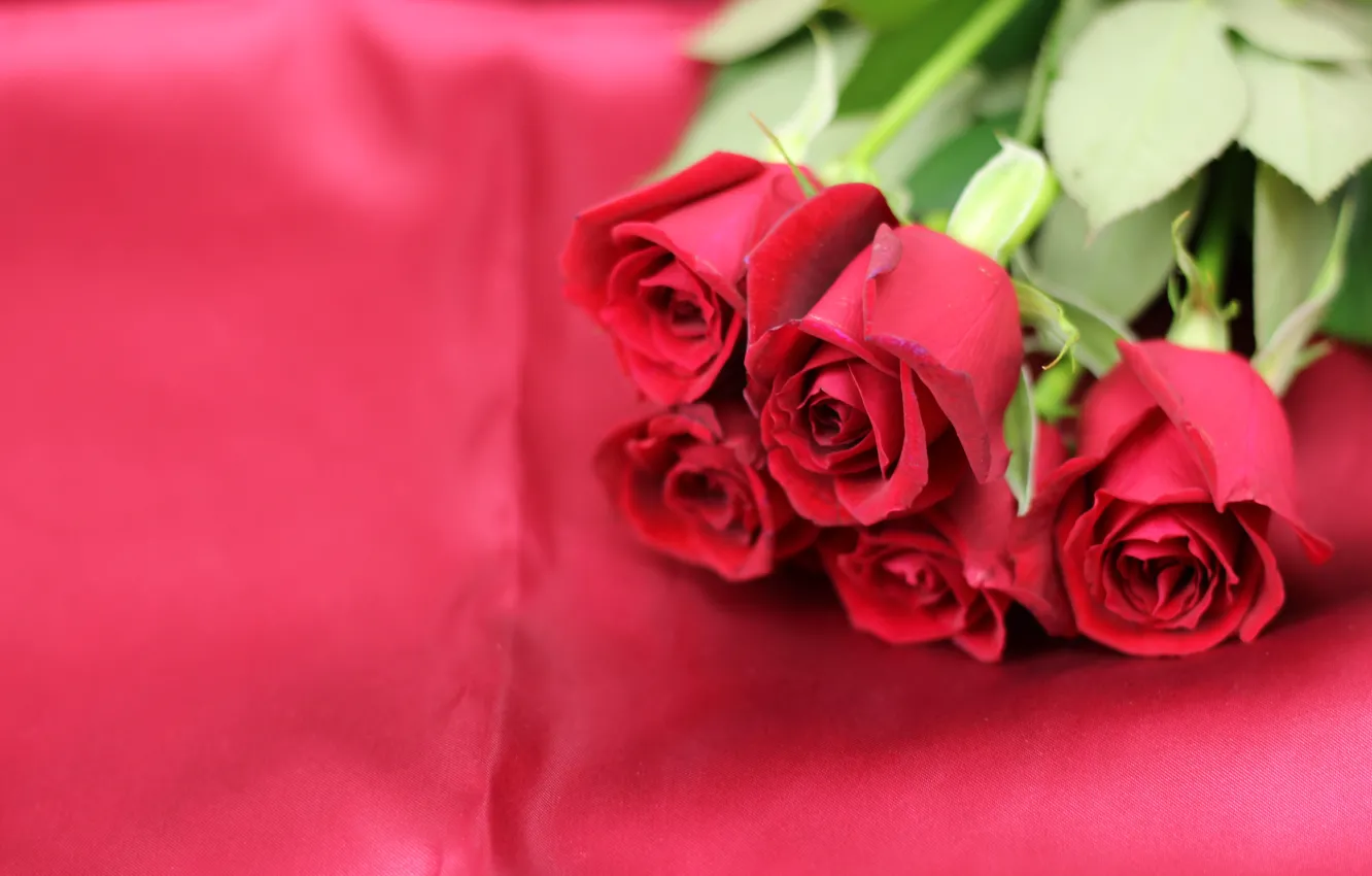 Photo wallpaper flowers, background, roses, bouquet, fabric