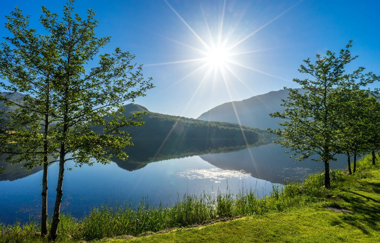 Photo wallpaper trees, lake, Norway, Norway, Rogaland, Vigesaa