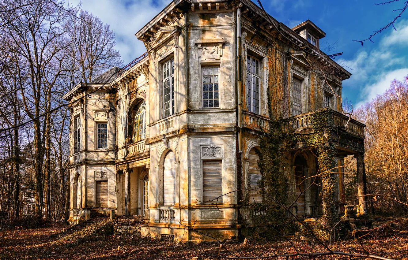 Photo wallpaper forest, castle, villa, ancient, abandoned, old house