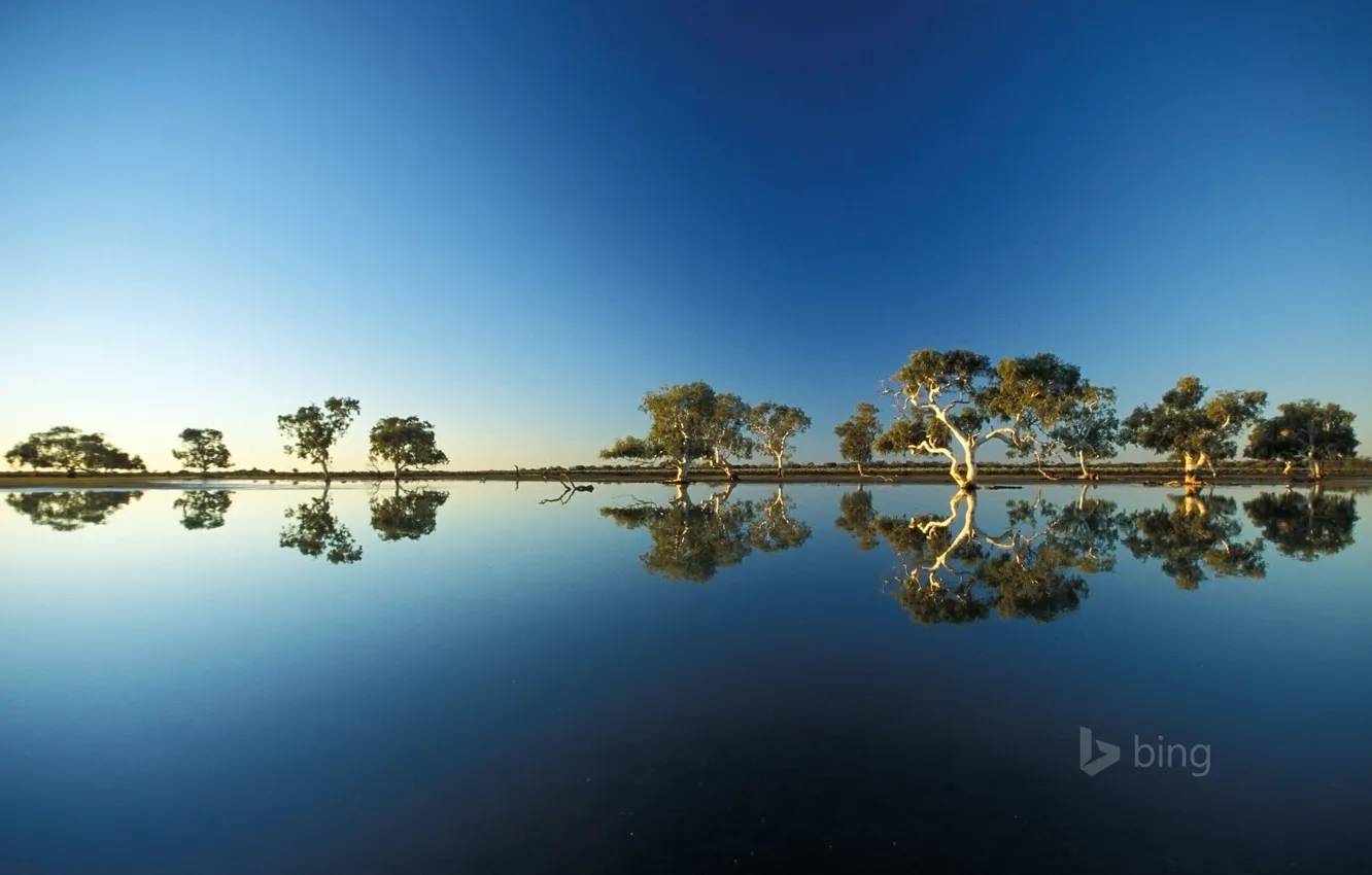 Photo wallpaper the sky, water, trees, reflection, spill, Australia