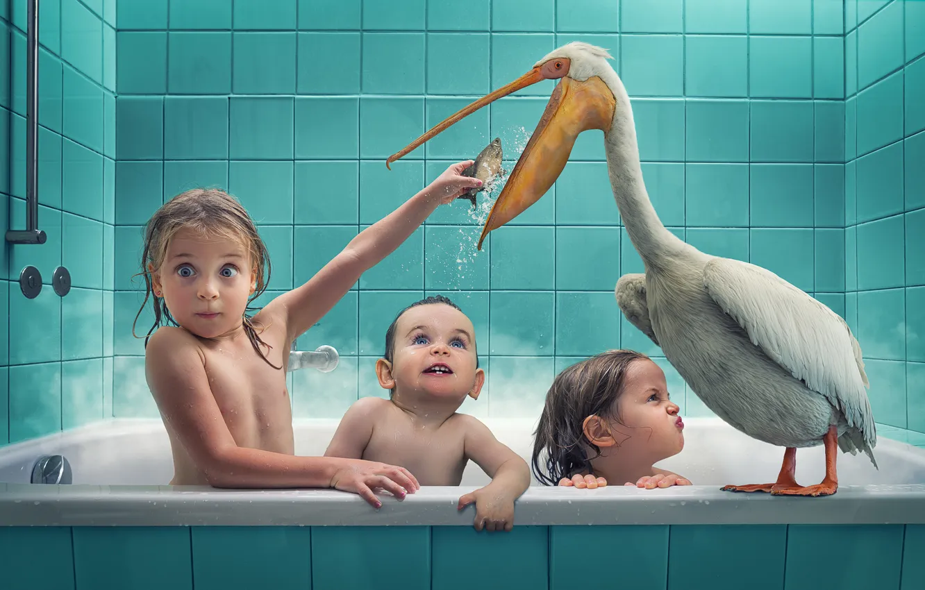 Photo wallpaper children, bird, fish, bath