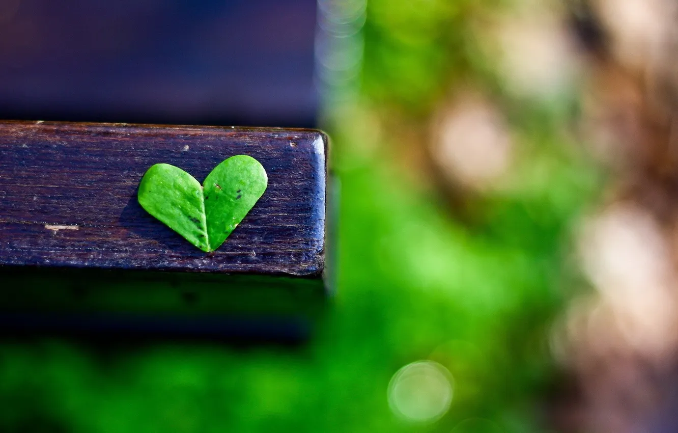 Photo wallpaper macro, photo, shop, hearts, bokeh