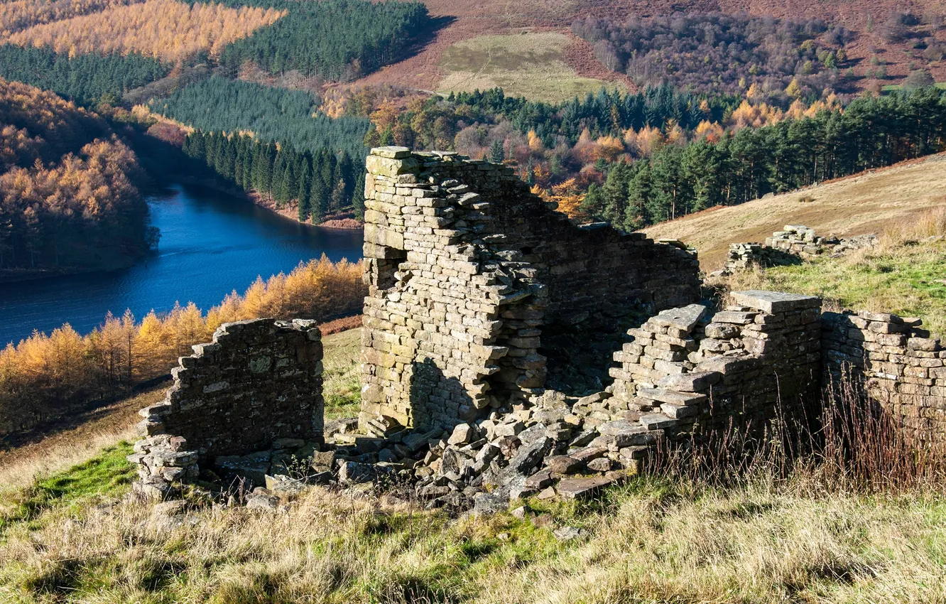 Photo wallpaper forest, river, hills, the ruins