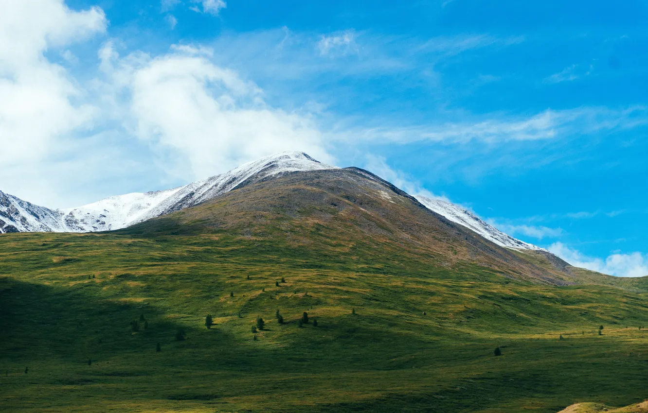 Photo wallpaper the sky, grass, clouds, snow, trees, mountains, nature, the wind