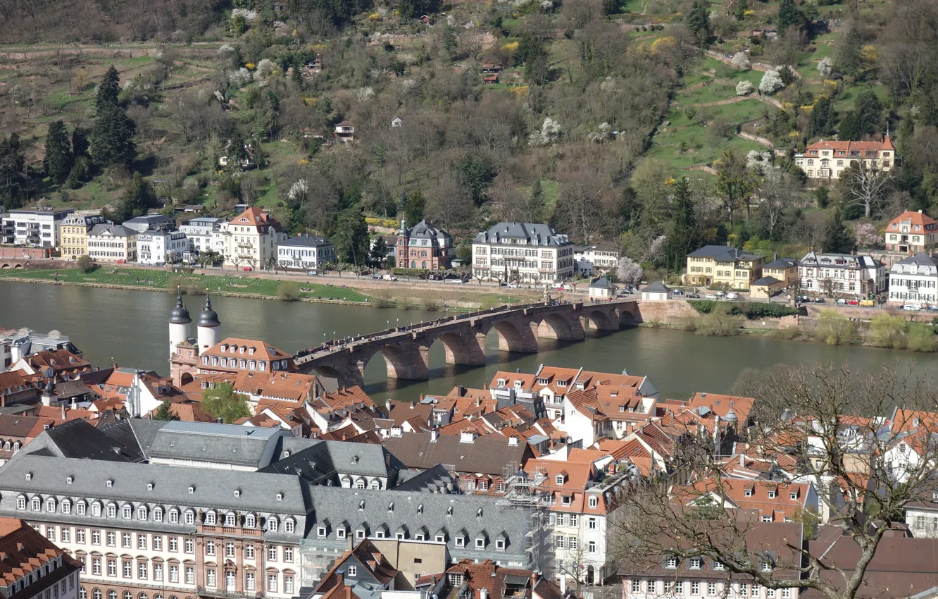 Photo wallpaper bridge, river, Home, Germany, Panorama, Roof, Building, Bridge