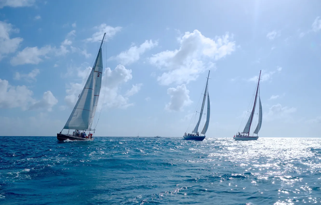 Photo wallpaper sea, sport, yachts, regatta