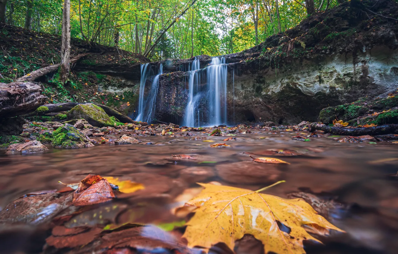 Photo wallpaper autumn, forest, leaves, nature, waterfall