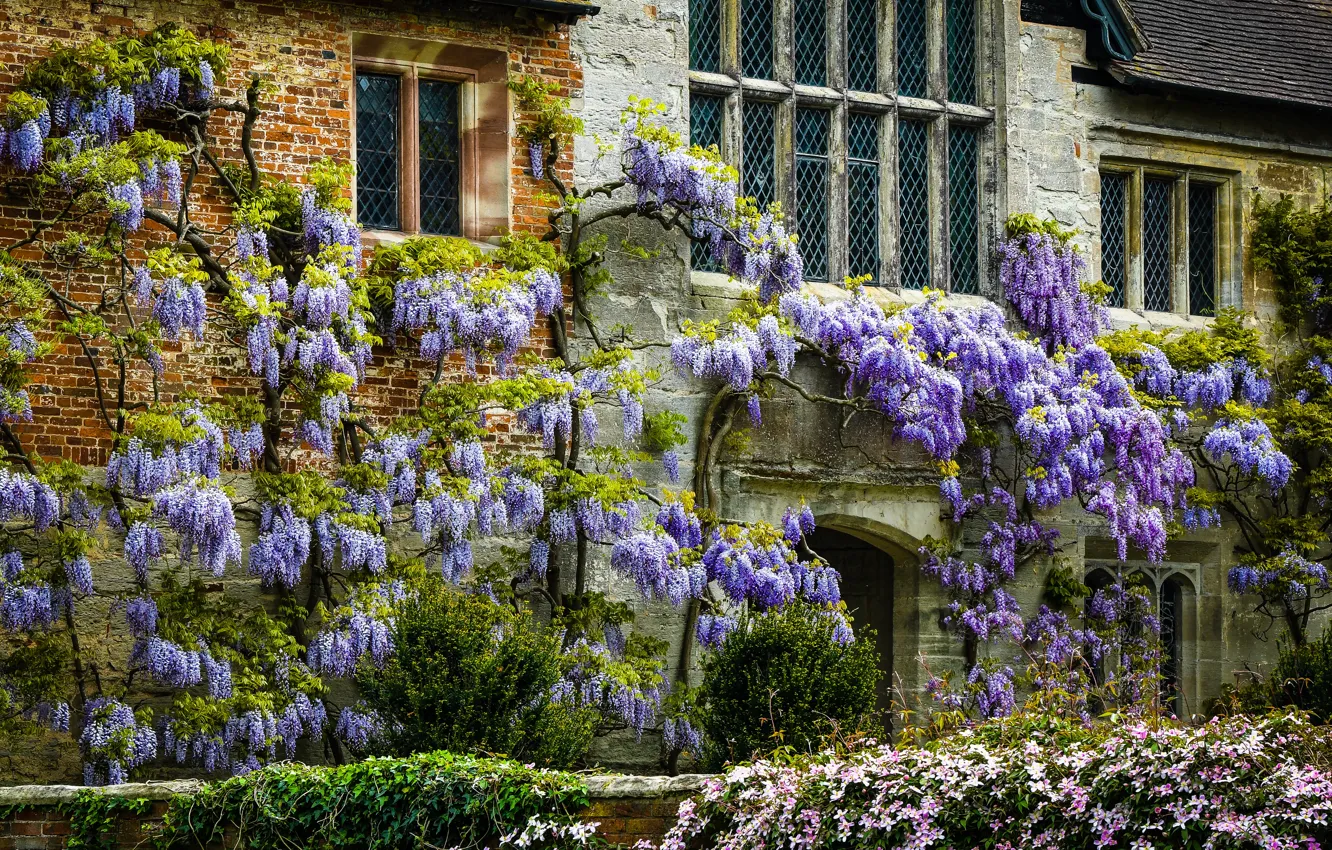 Photo wallpaper summer, flowers, castle, wall, branch, home, brick, garden
