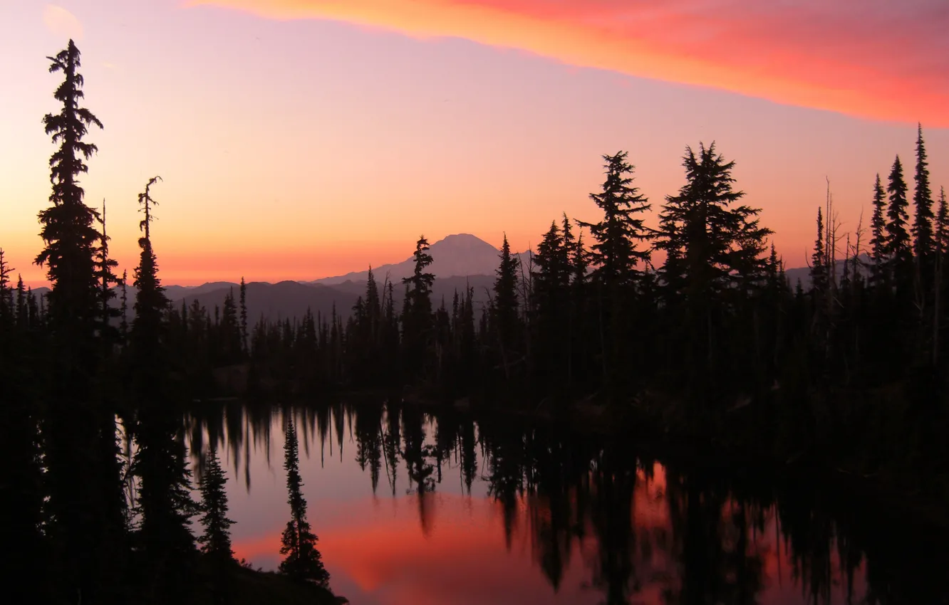 Photo wallpaper forest, sunset, mountains, the evening