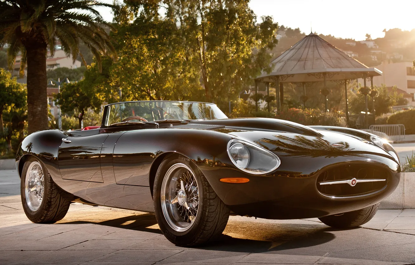 Photo wallpaper needle, Jaguar, Eagle, sports car, E-Type, beautiful car, Speedster, Speedster