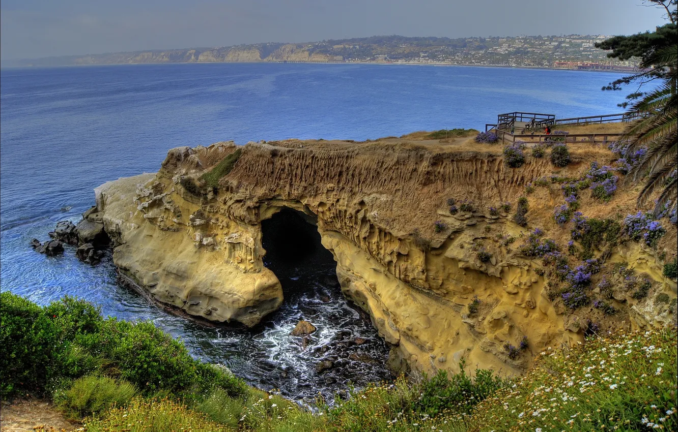Photo wallpaper sea, the sky, grass, flowers, nature, the ocean, rocks, Bay