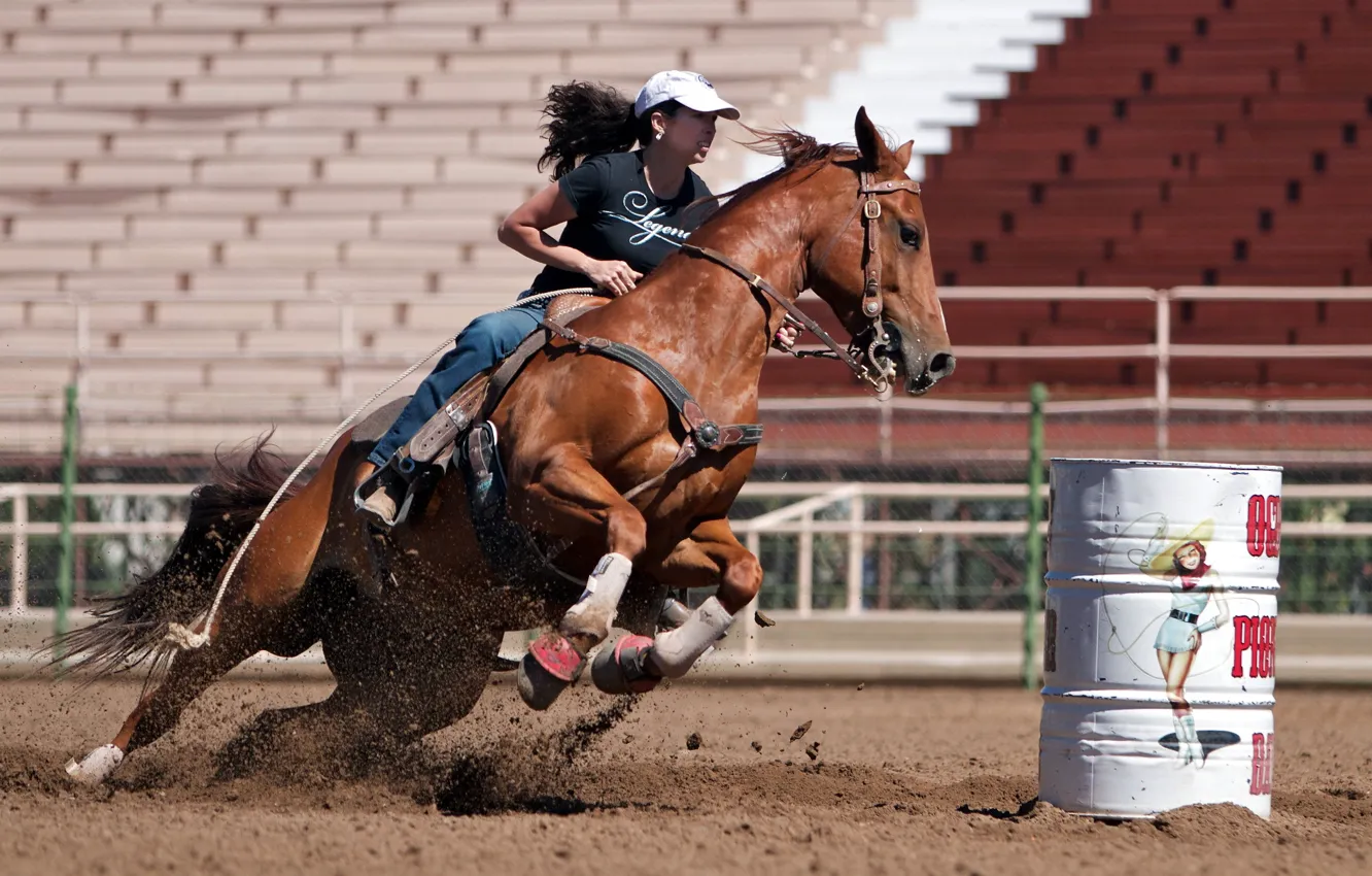 Photo wallpaper girl, horse, sport