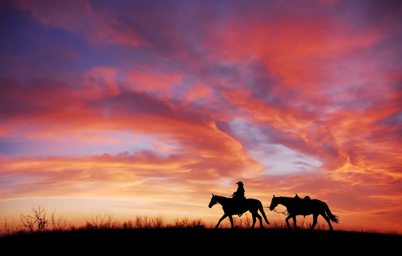 Photo wallpaper field, the sky, grass, clouds, sunset, horse, hat, silhouette