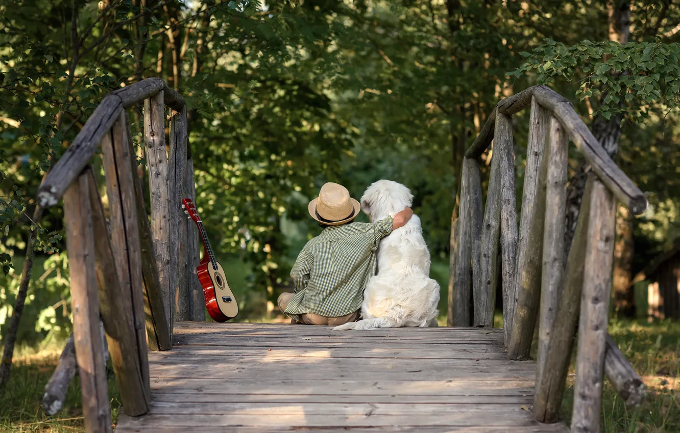Photo wallpaper nature, guitar, dog, boy, the bridge, friends, child, dog