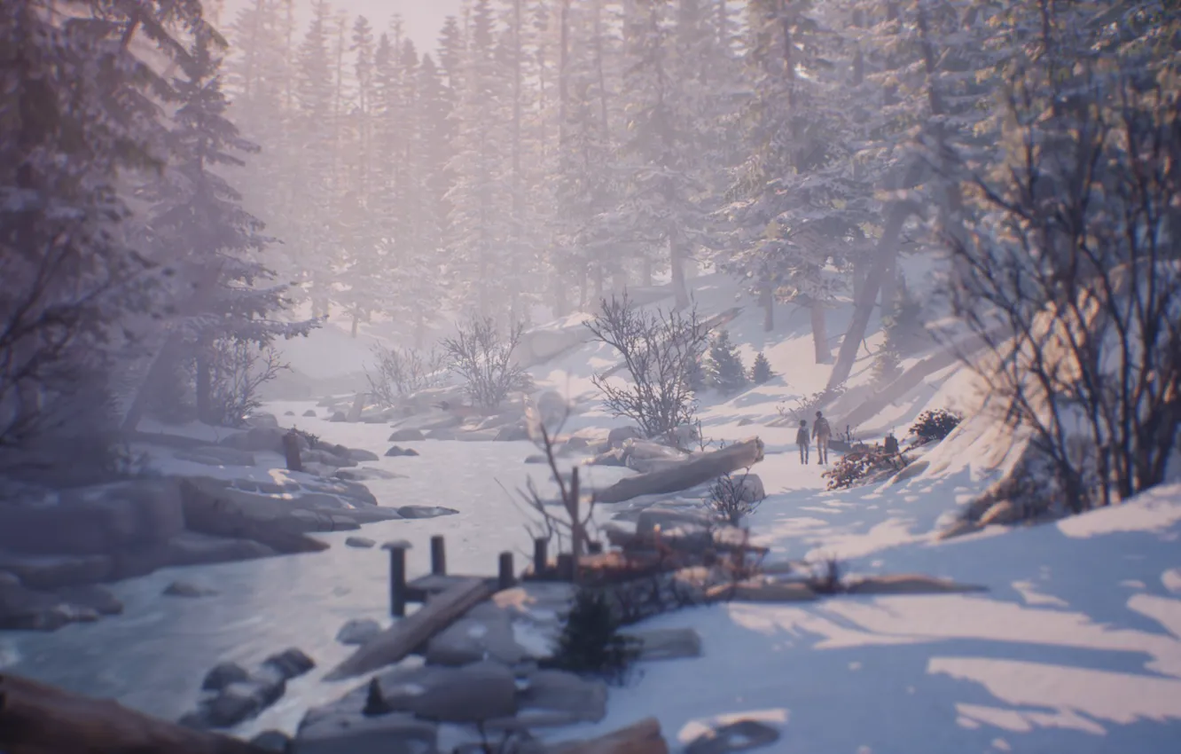 Photo wallpaper nature, winter, life is strange 2