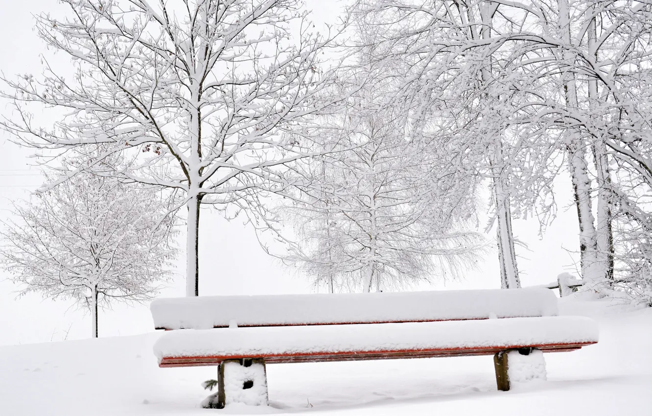 Photo wallpaper winter, snow, bench
