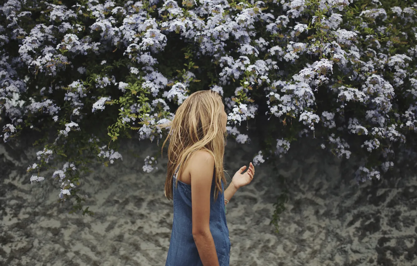 Photo wallpaper girl, flowers, blonde