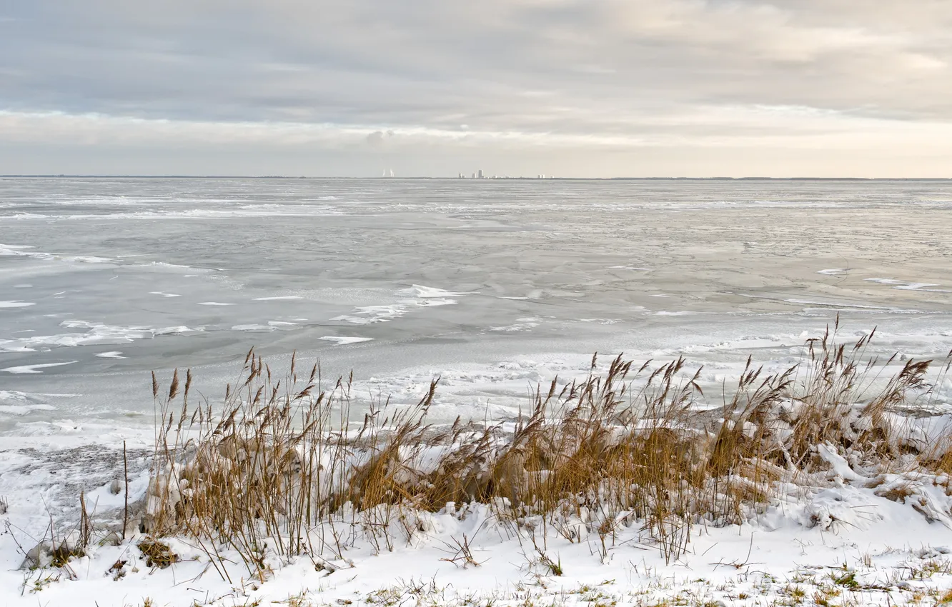 Photo wallpaper ice, winter, river, reed