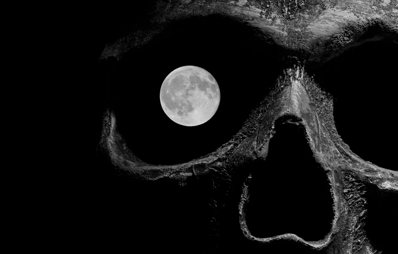Photo wallpaper death, the moon, skull