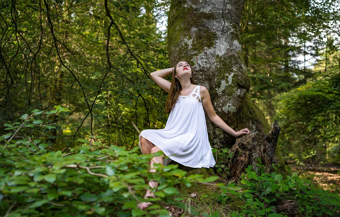 Photo wallpaper forest, girl, trees