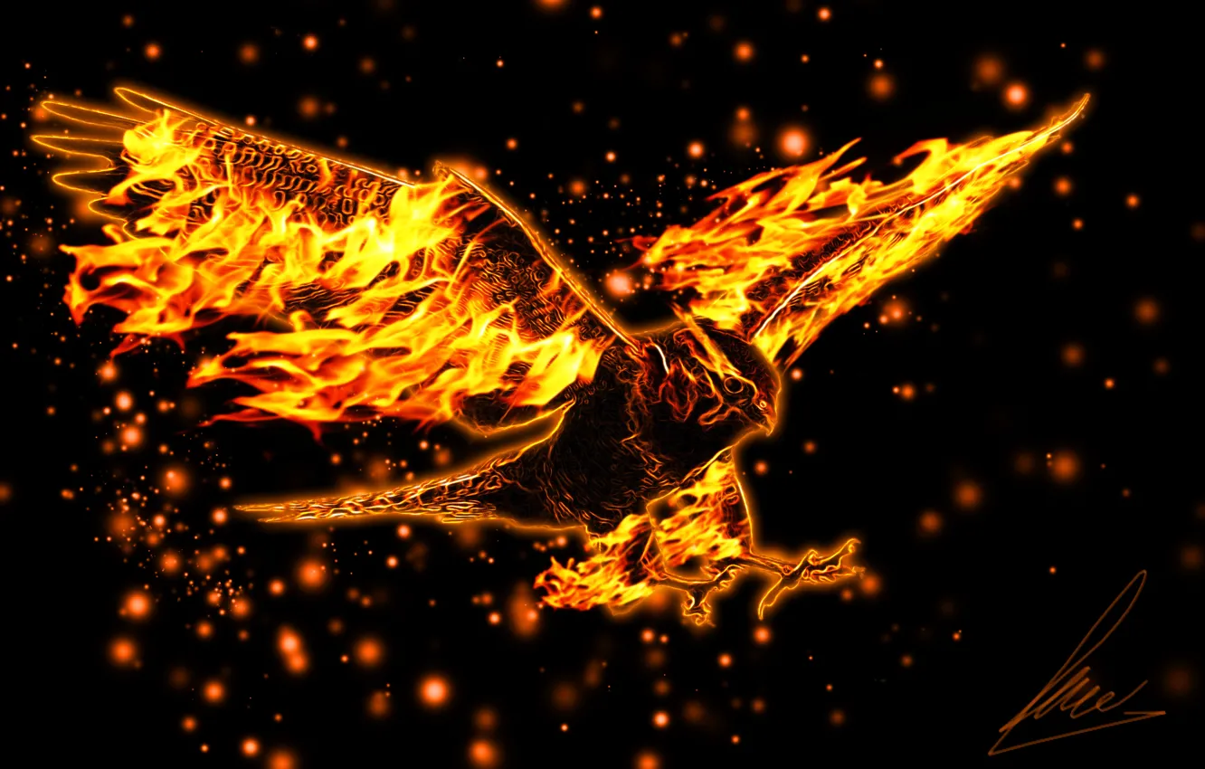 Photo wallpaper eagle, wings, flight, burning