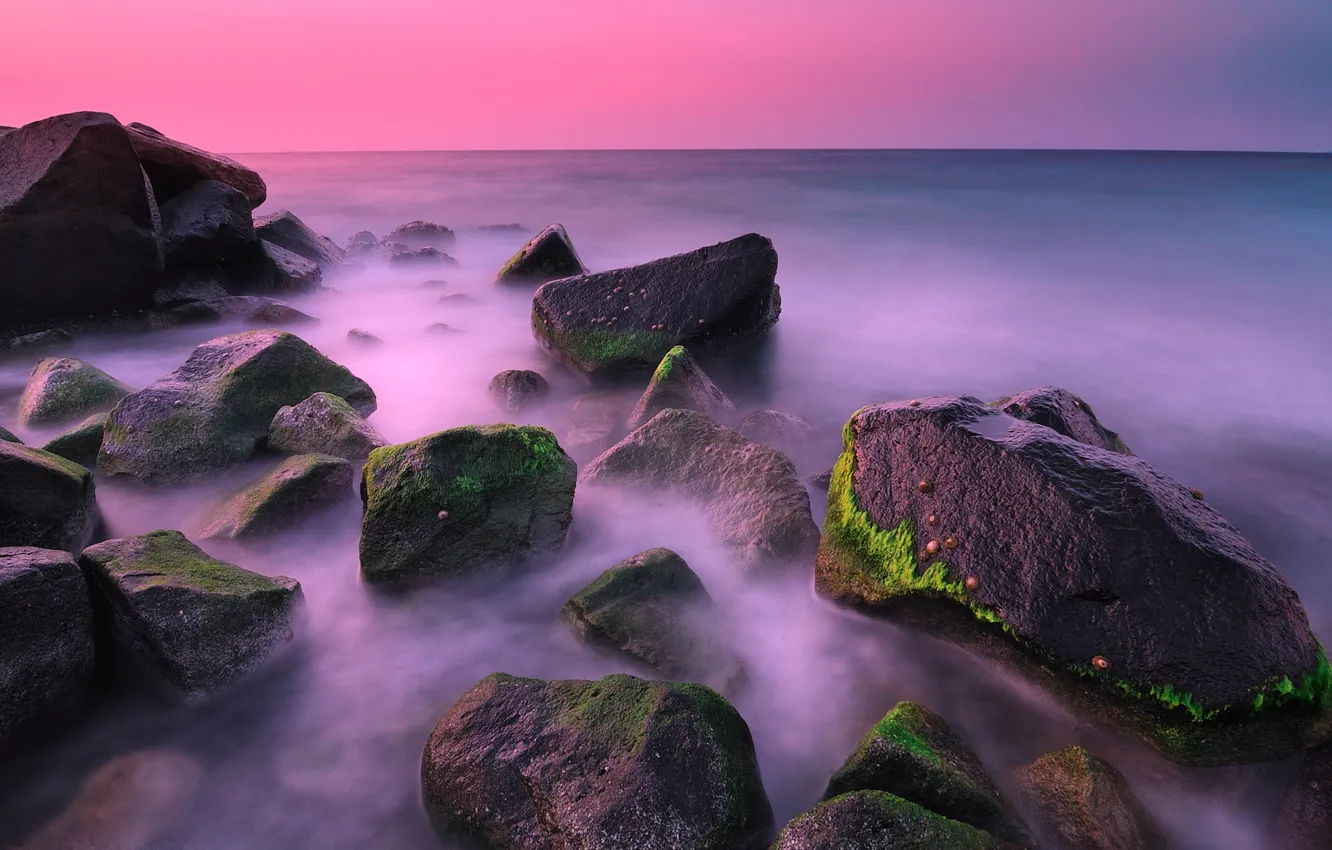 Photo wallpaper sea, the sky, algae, landscape, sunset, stones, rocks, horizon