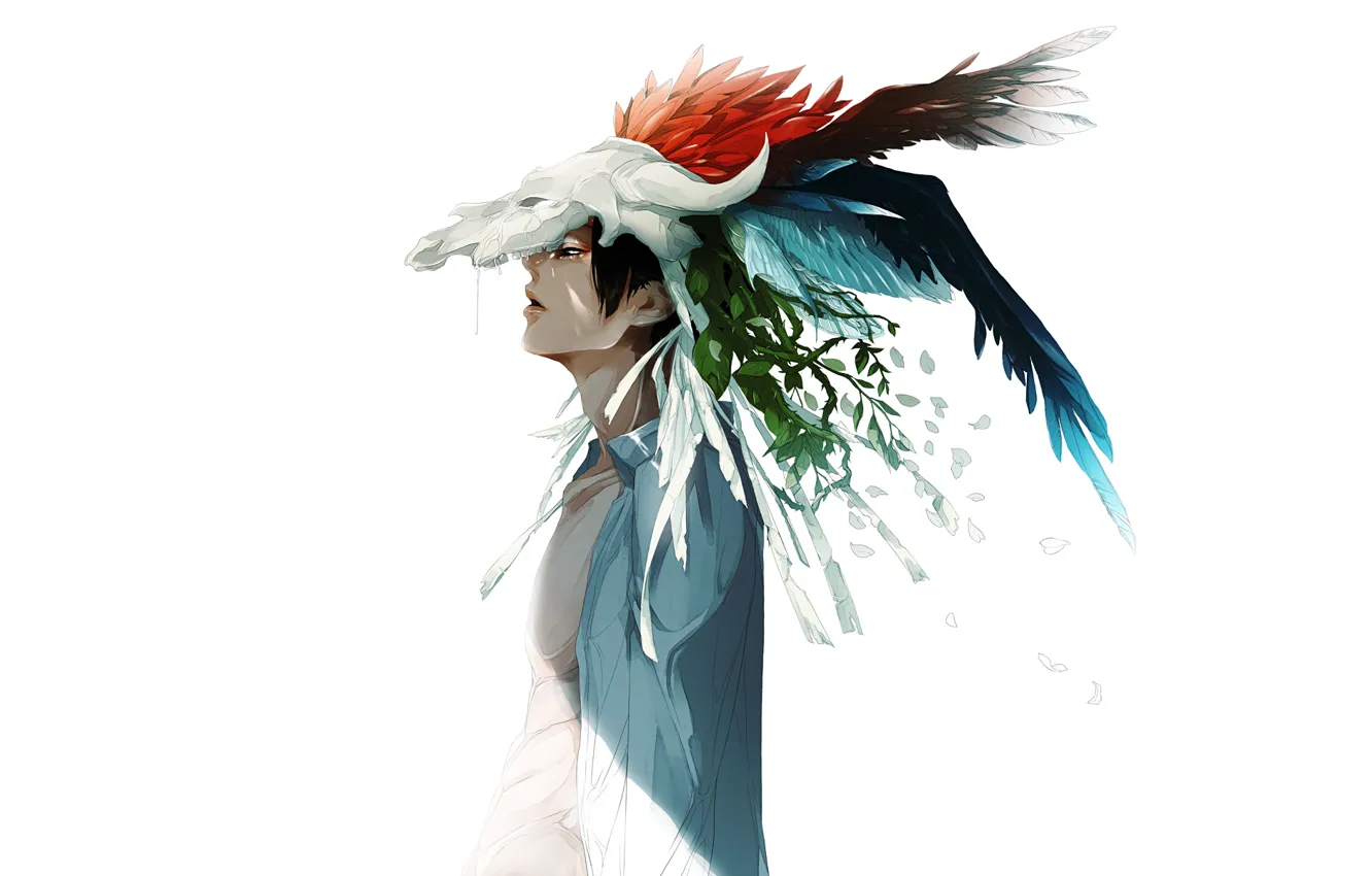 Photo wallpaper leaves, branches, skull, feathers, white background, Guy, shirt