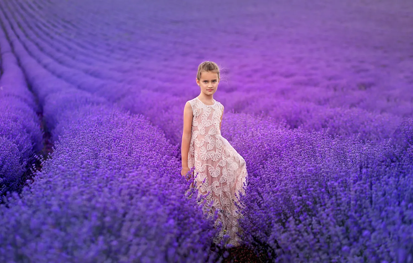 Photo wallpaper field, nature, girl, lavender