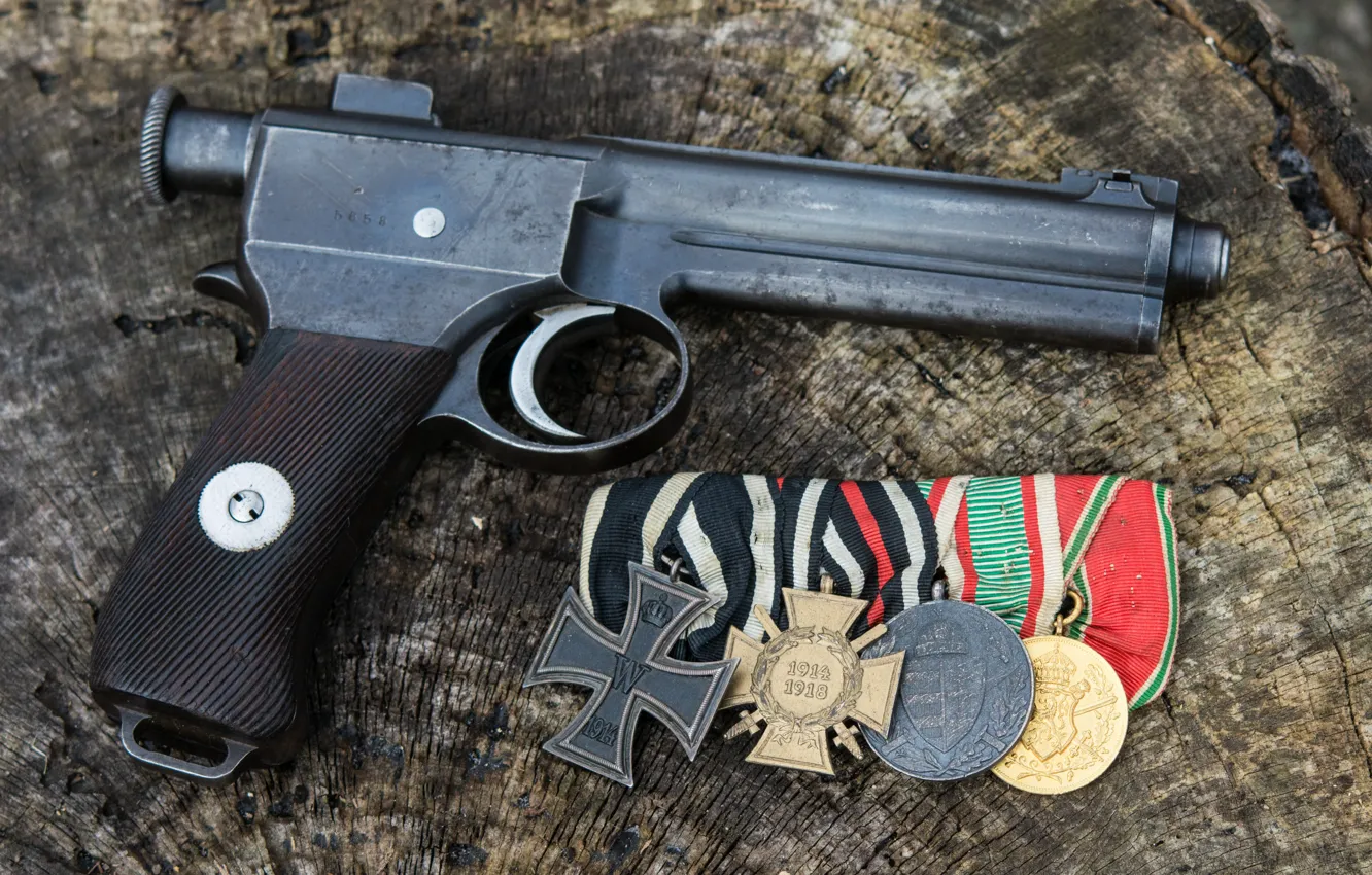 Photo wallpaper automatic pistol, 1917, Roth Steyr