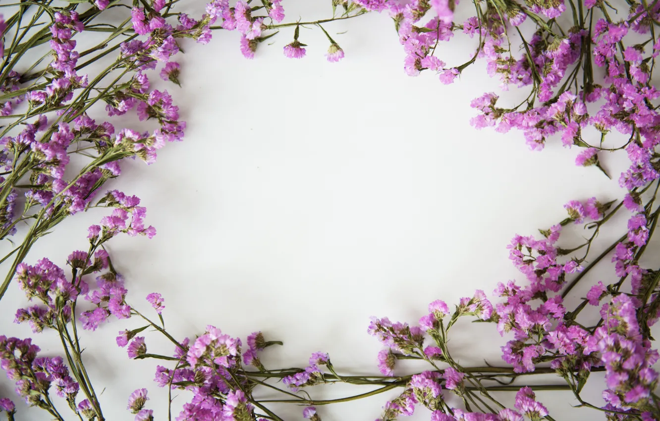 Photo wallpaper flowers, background, frame, flowers, purple, violet, frame
