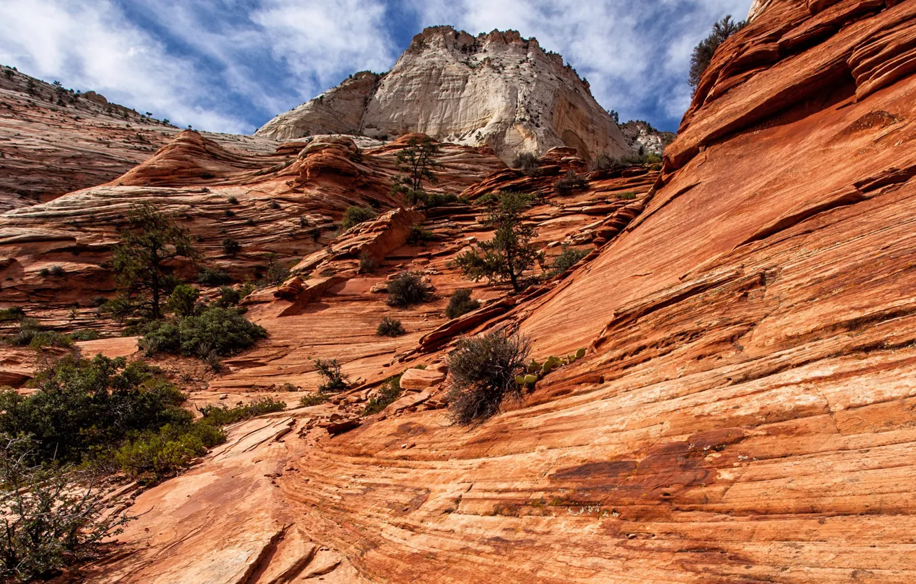 Photo wallpaper clouds, mountains, nature, rocks, Utah, USA, Zion National Park, National Park