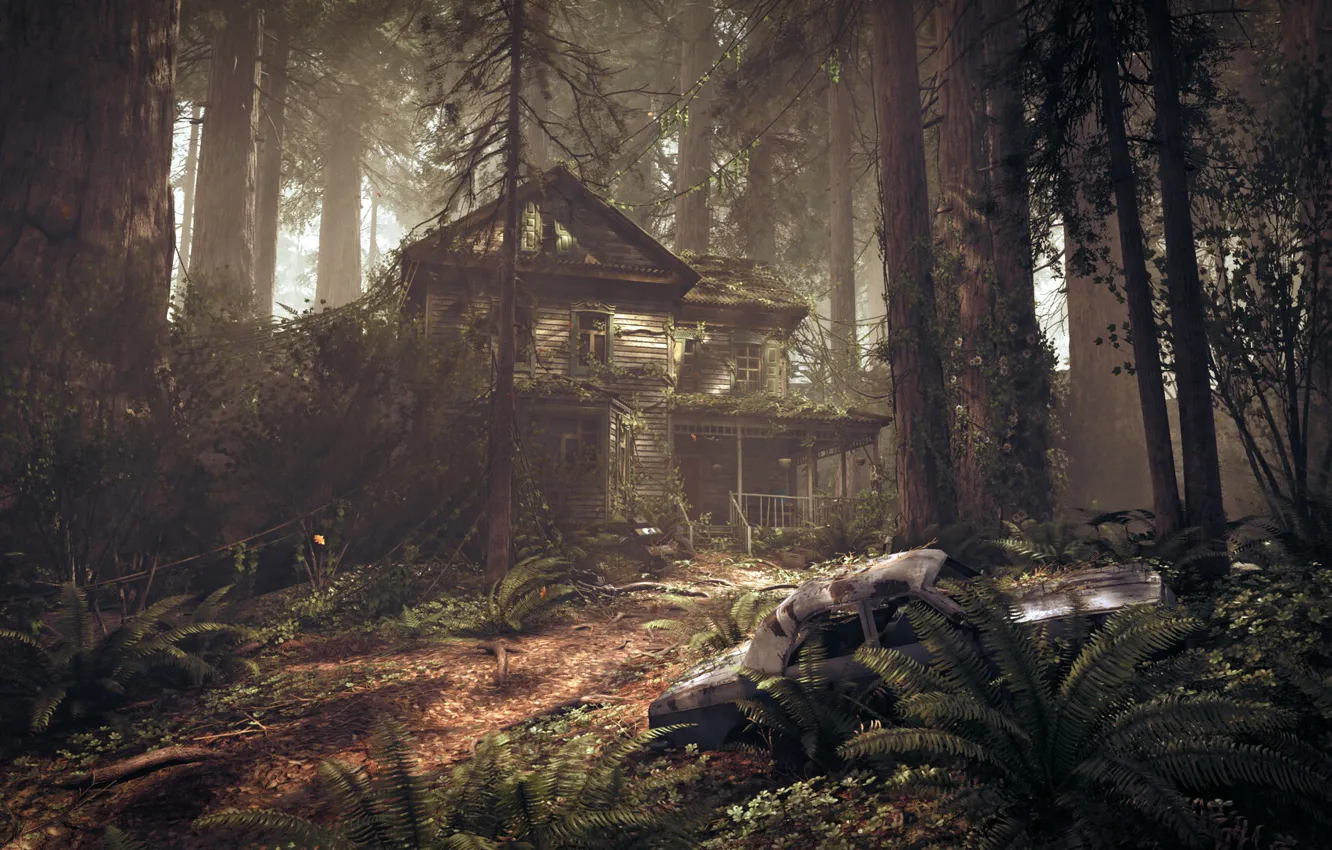 Photo wallpaper forest, vegetation, car, structure, Abandoned Afternoon