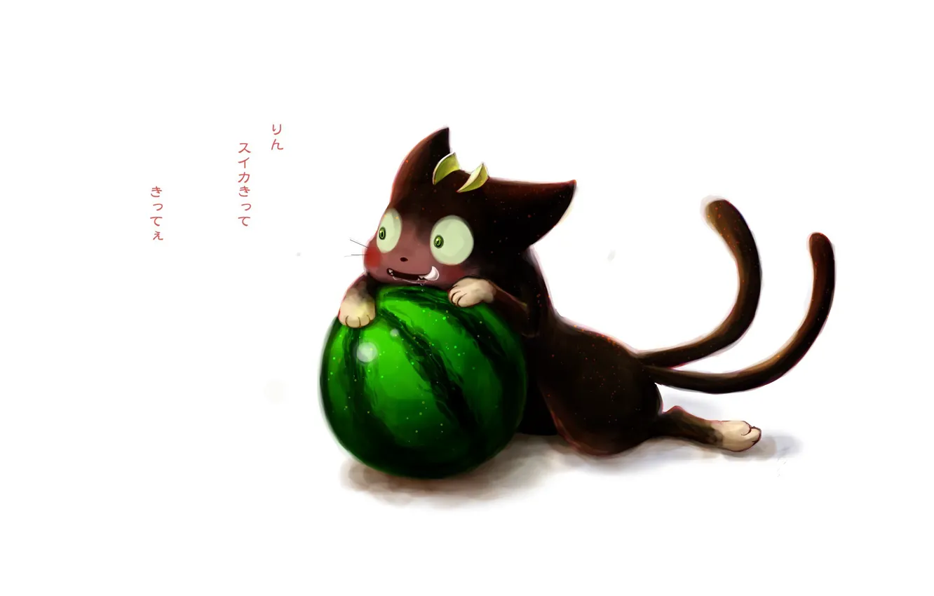 Photo wallpaper cat, anime, watermelon, art, Ao no Exorcist, Blue exorcist, Blue Exorcist, Kuro