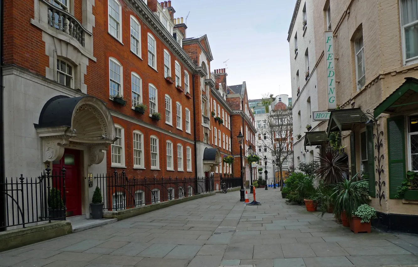 Photo wallpaper road, the sky, flowers, the city, street, home, window, lampposts