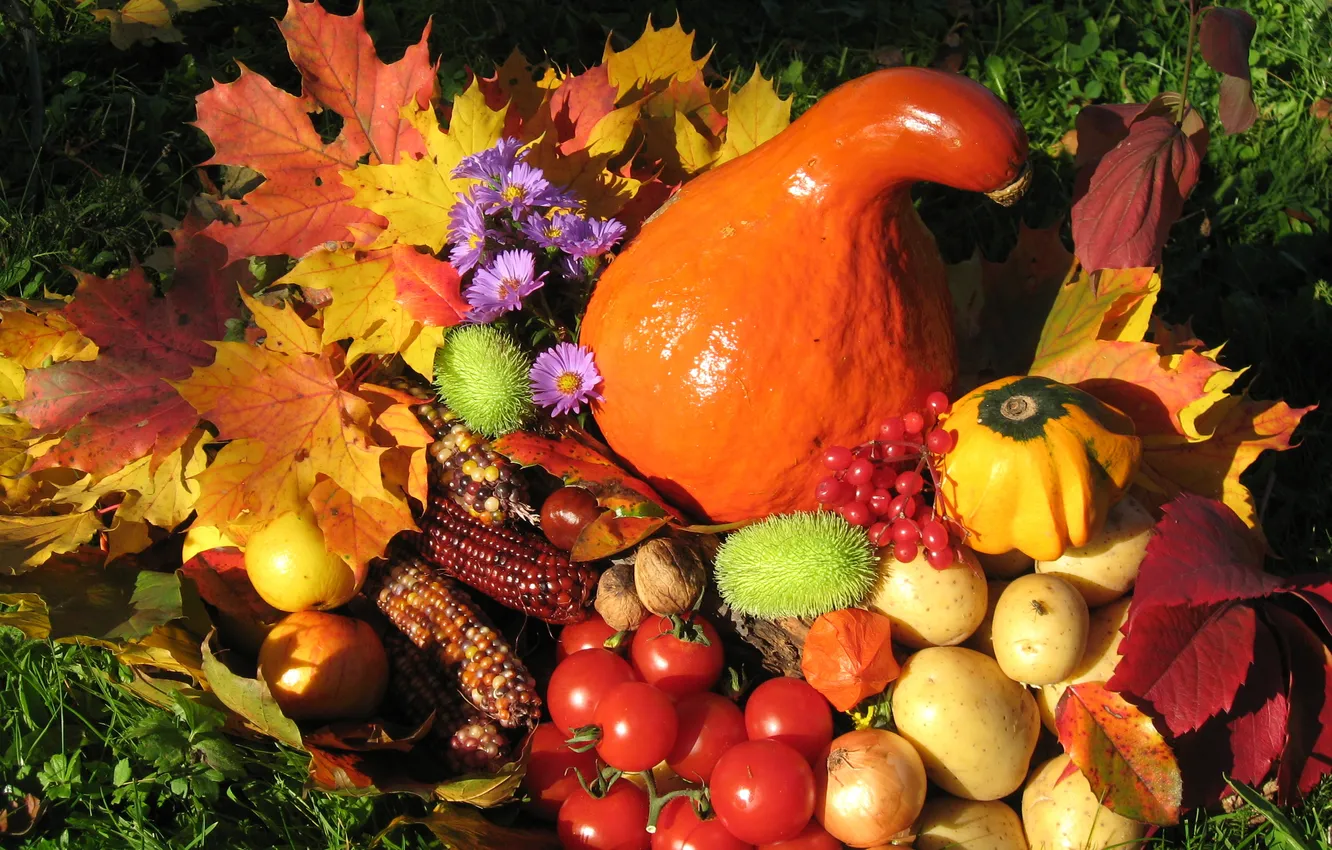 Photo wallpaper leaves, flowers, fruit, still life, vegetables