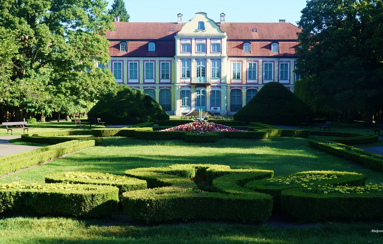 Photo wallpaper park, garden, home