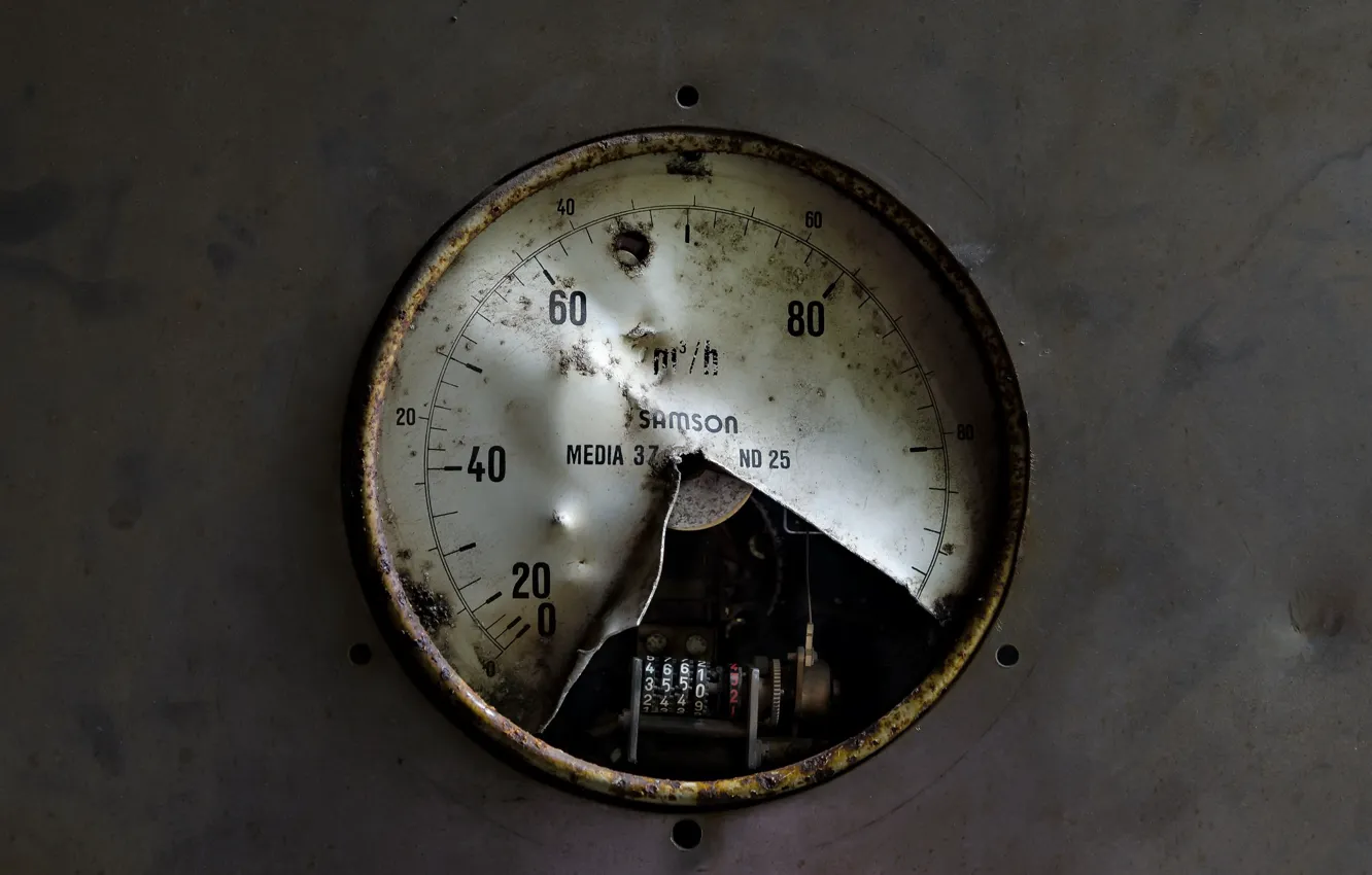 Photo wallpaper macro, background, devices