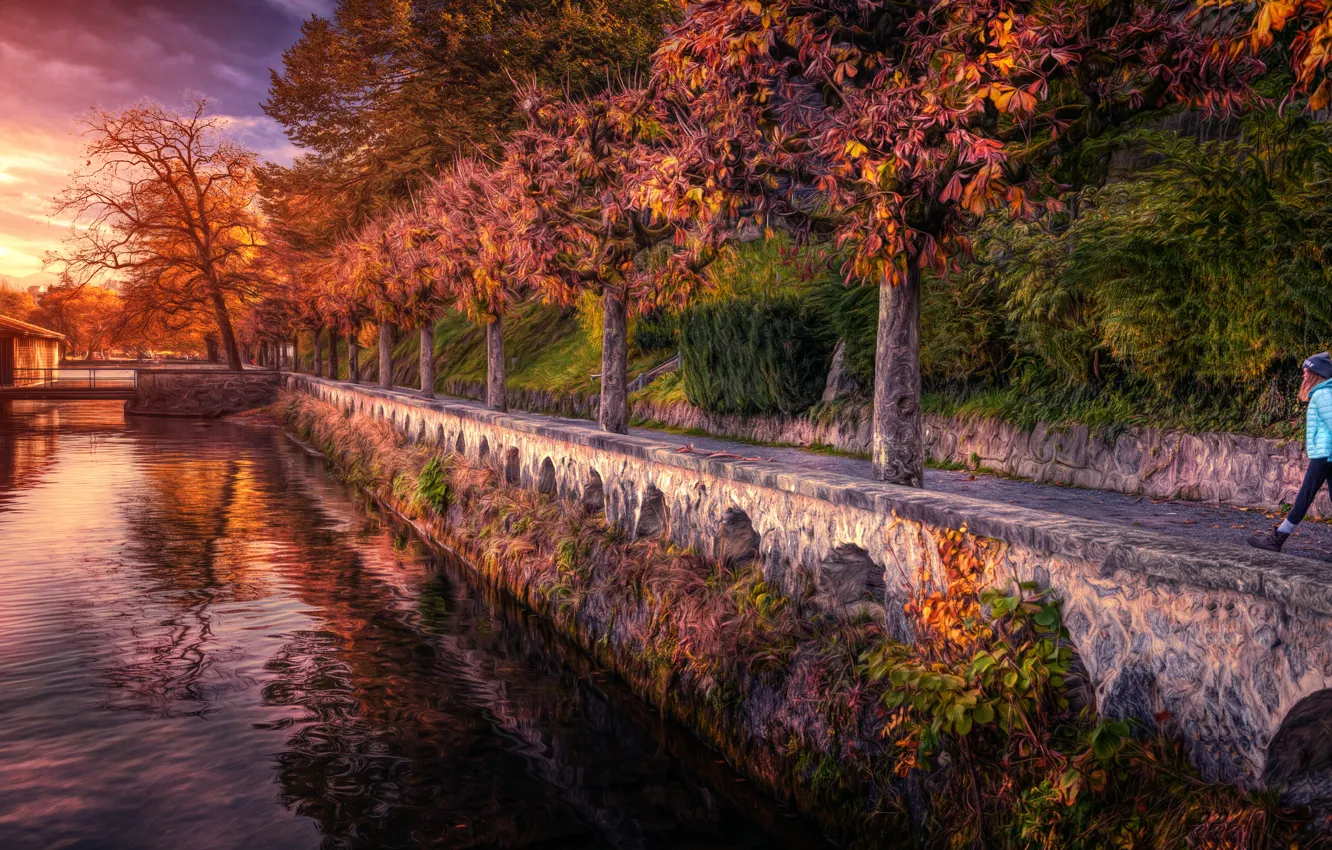 Photo wallpaper trees, river, treatment, alley, Sunset walk